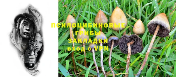 тгк Абинск