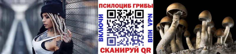 Галлюциногенные грибы Magic Shrooms наркошоп Канск