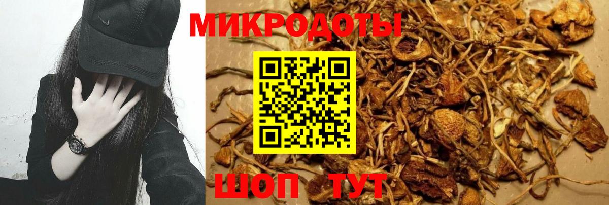 Галлюциногенные грибы GOLDEN TEACHER  Вход с VPN  Канск 